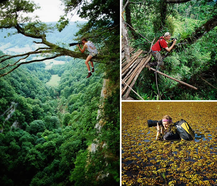photographe-fou-forêt