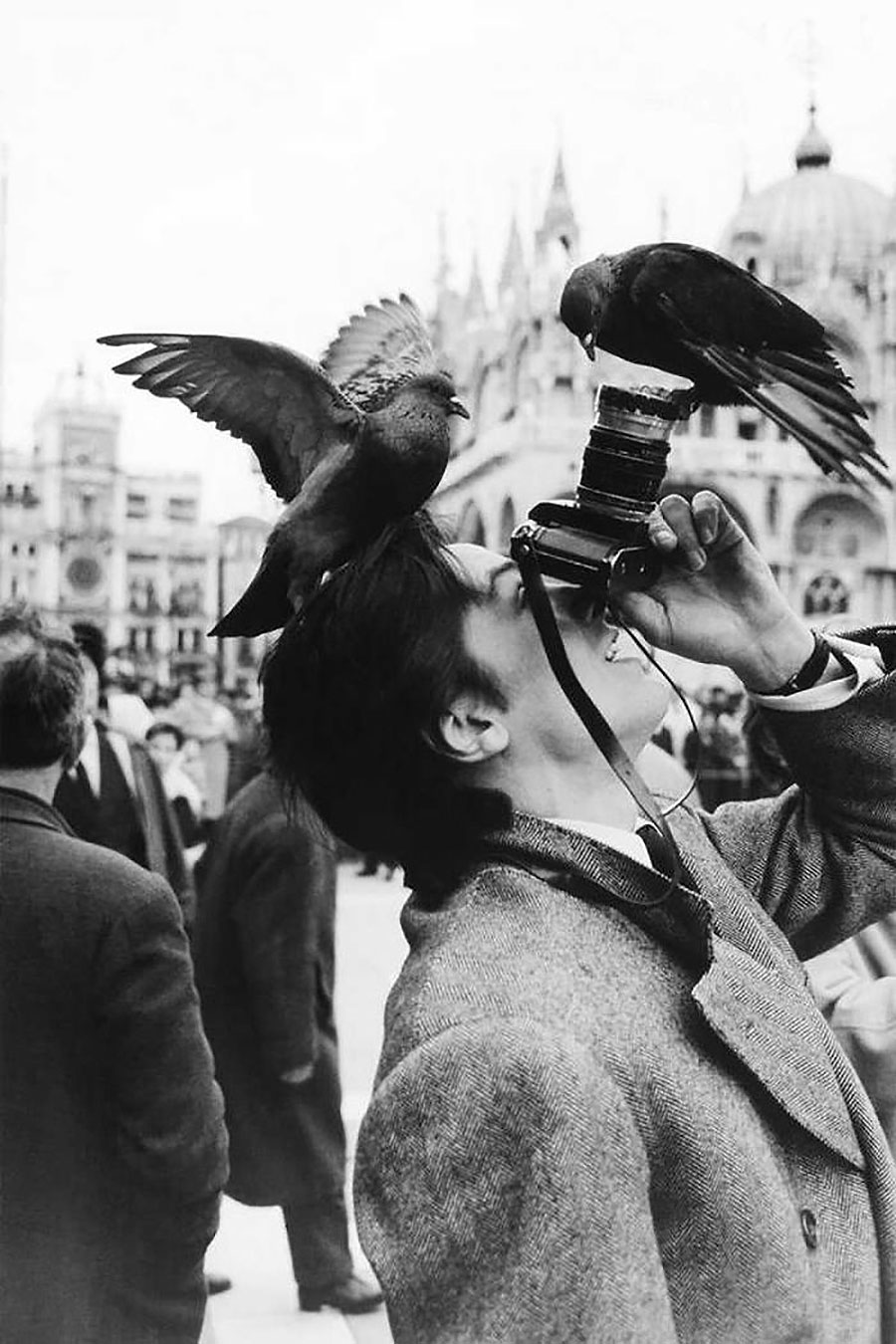 photographe-fou-oiseaux