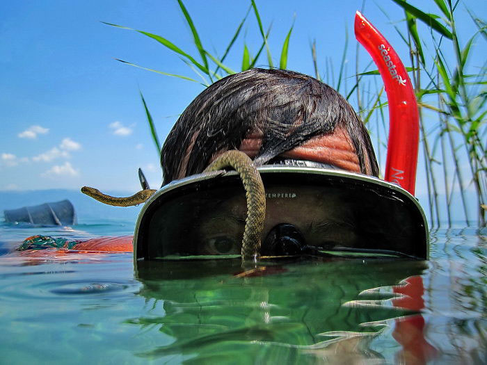 photographe-plongeur-eau