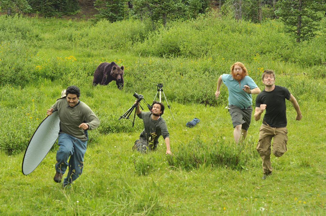 photographes-fous-ours