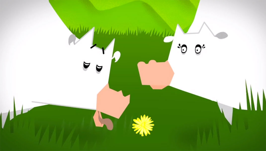 vaches-amour