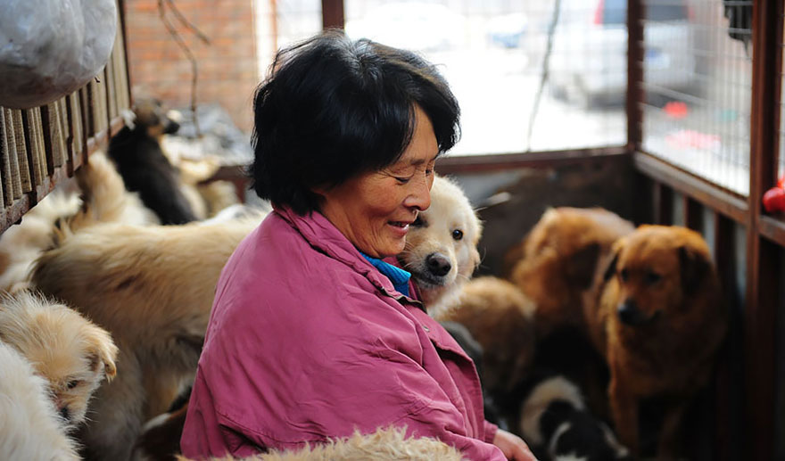 14-femme-sauve-100-chiens
