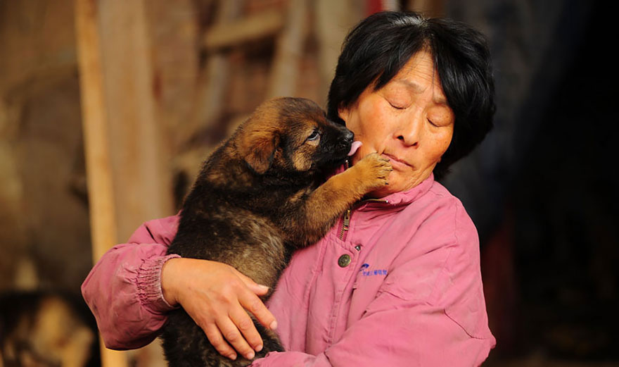 16-femme-sauve-100-chiens