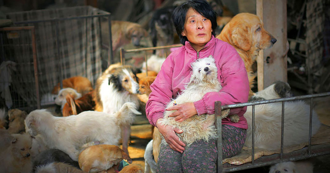 Une-femme-sauve-chien