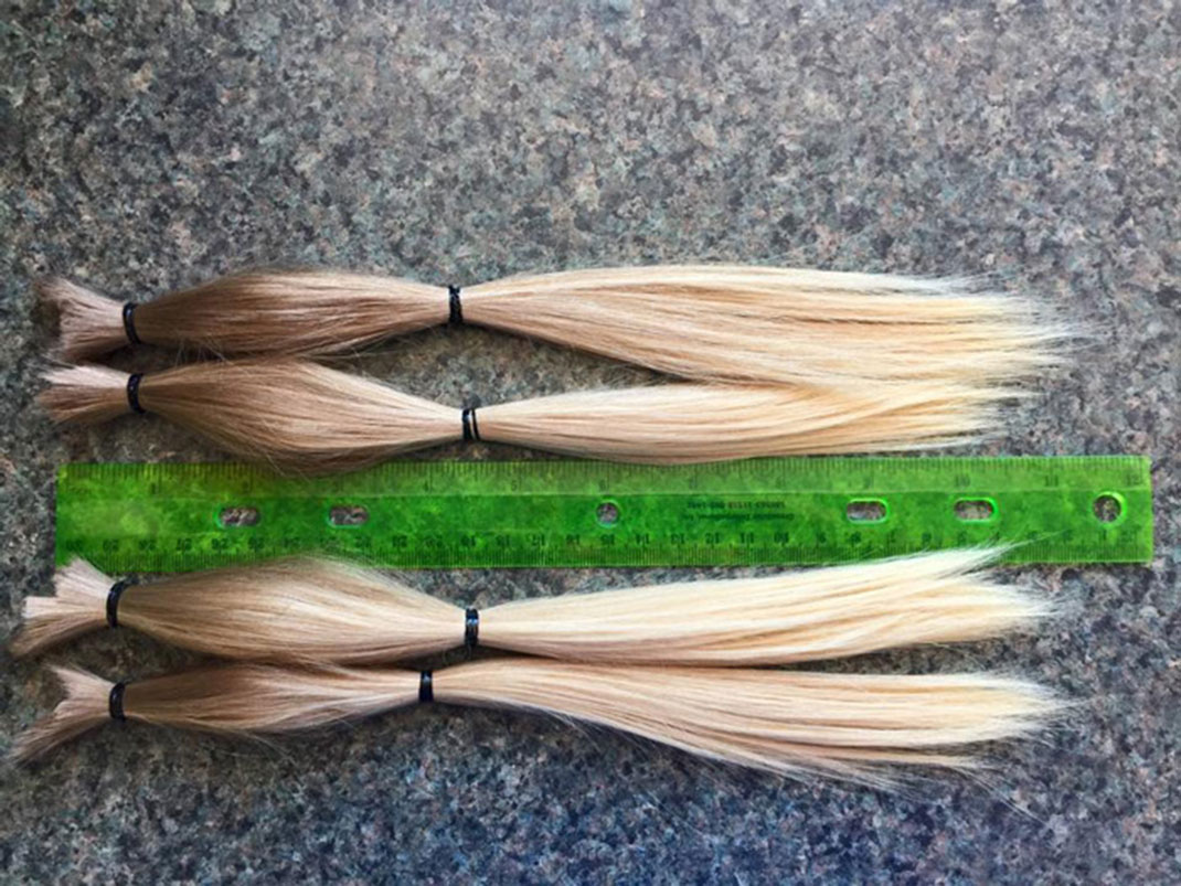 cheveux-long