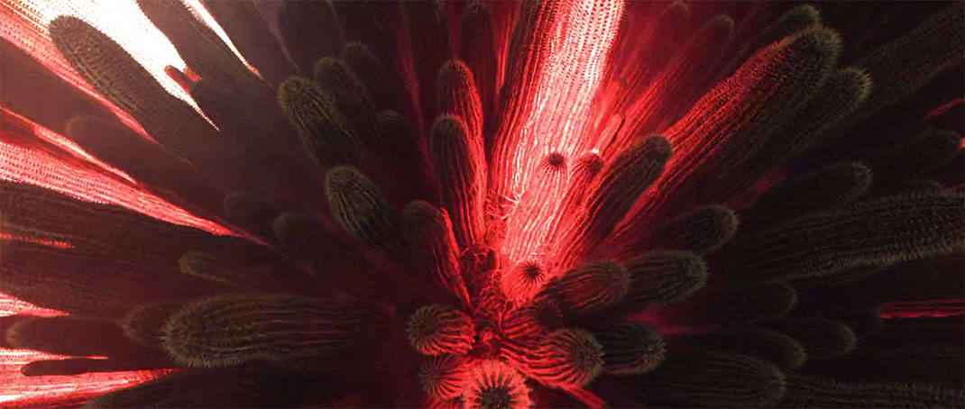 lumiere-rouge