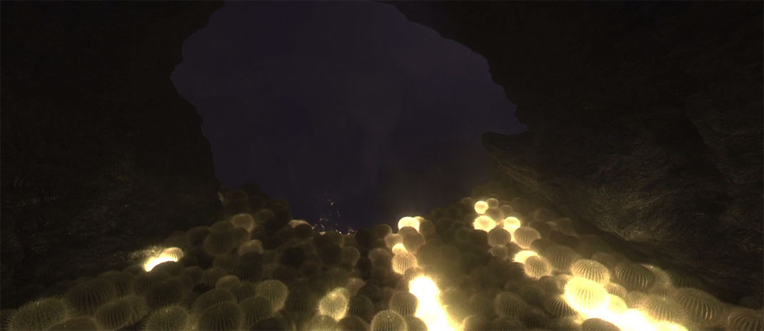 plantes-lumineuses
