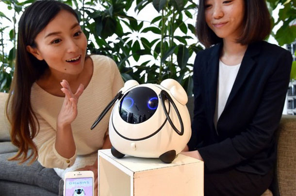 robot-japonais
