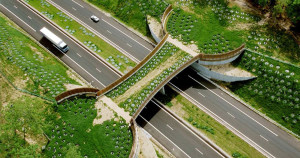une-animaux-routes-ponts