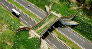 une-animaux-routes-ponts