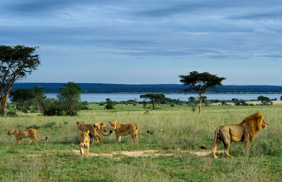 2-Murchison-Falls-National-Park