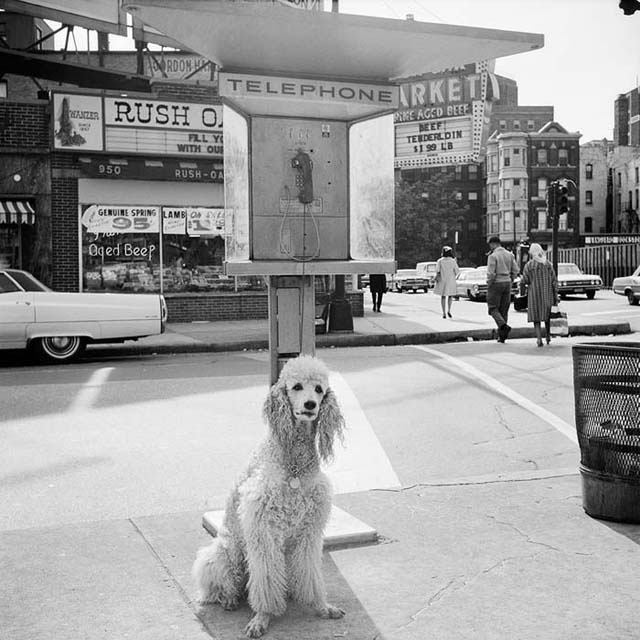 Vivian-maier-000132