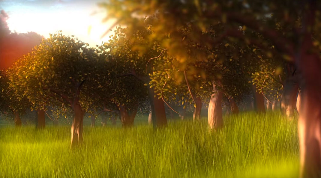 arbres