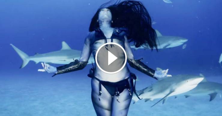 hannah-fraser-requins-danse