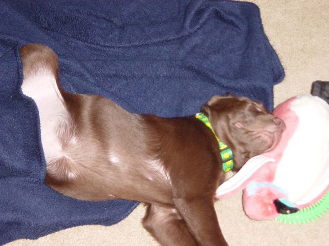 molly_day1-073__605