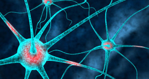 neurone-une