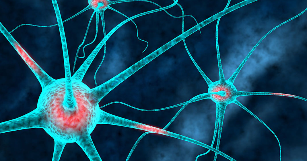 neurone-une