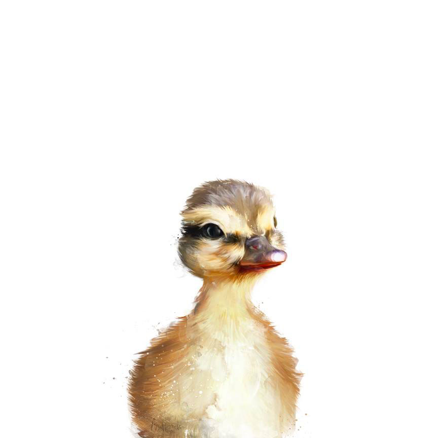 portrait-dessins-saisissant-canard