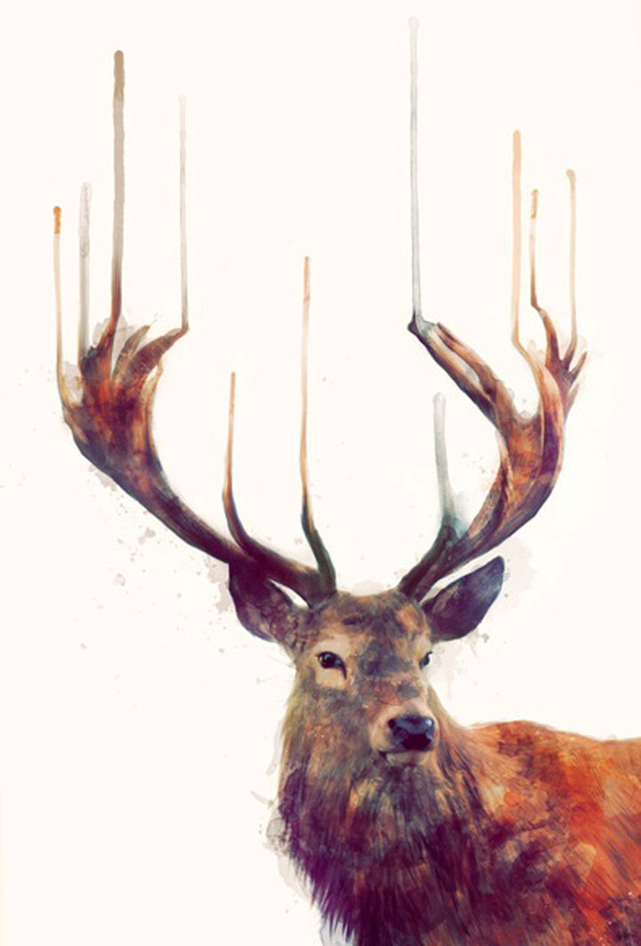 portrait-dessins-saisissant-cerf-seul