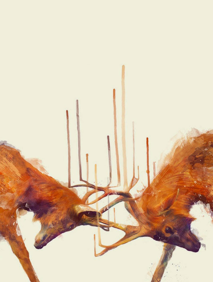 portrait-dessins-saisissant-cerf