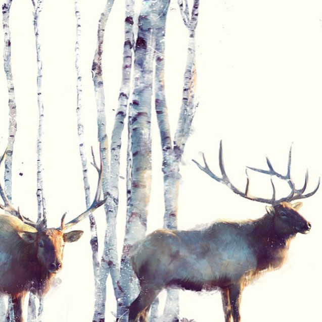 portrait-dessins-saisissant-cerfs