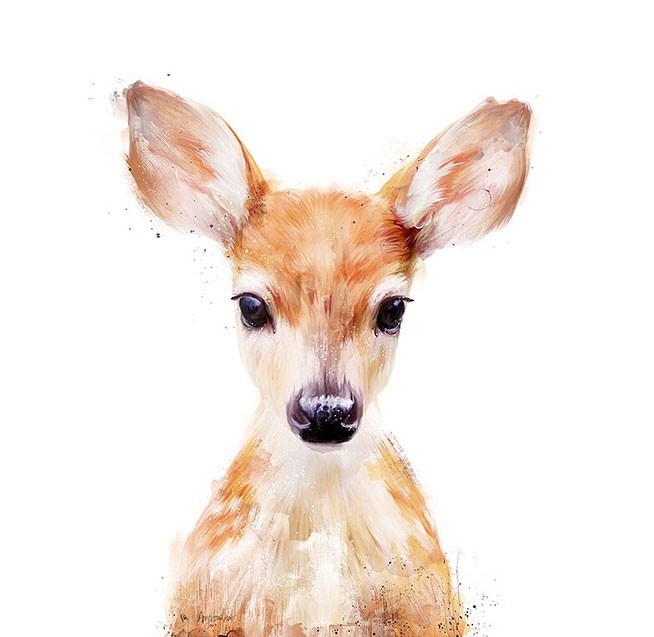 portrait-dessins-saisissant-faon
