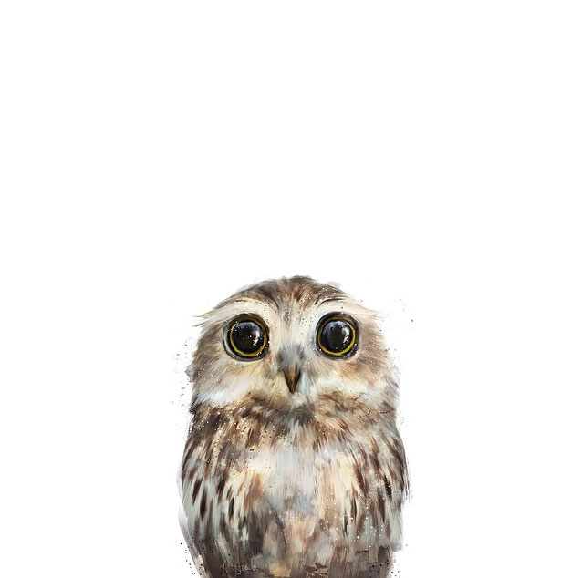 portrait-dessins-saisissant-hibou