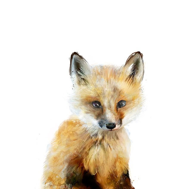 portrait-dessins-saisissant-renard