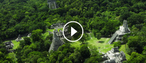 tikal