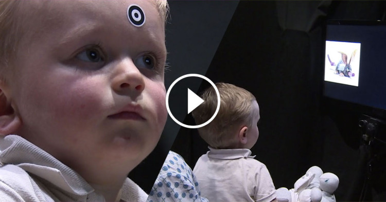une babylab