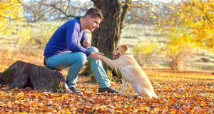 une-chien-maitre-2