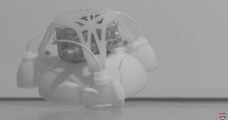 une-robot-mou