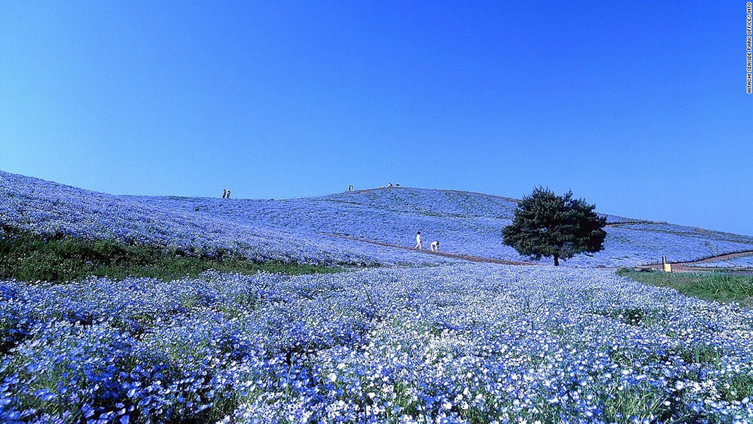 11-paysages-magnifiques-japon