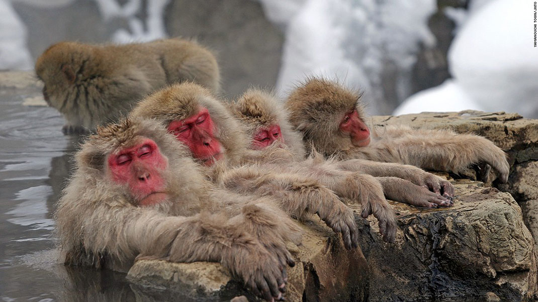 25-paysages-magnifiques-japon