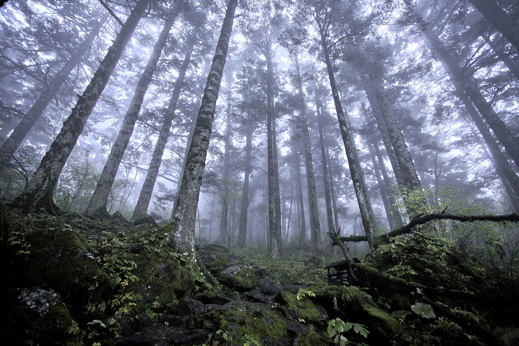 7.-Le-district-de-Shennongjia,-situé-dans-la-province-du-Hubei