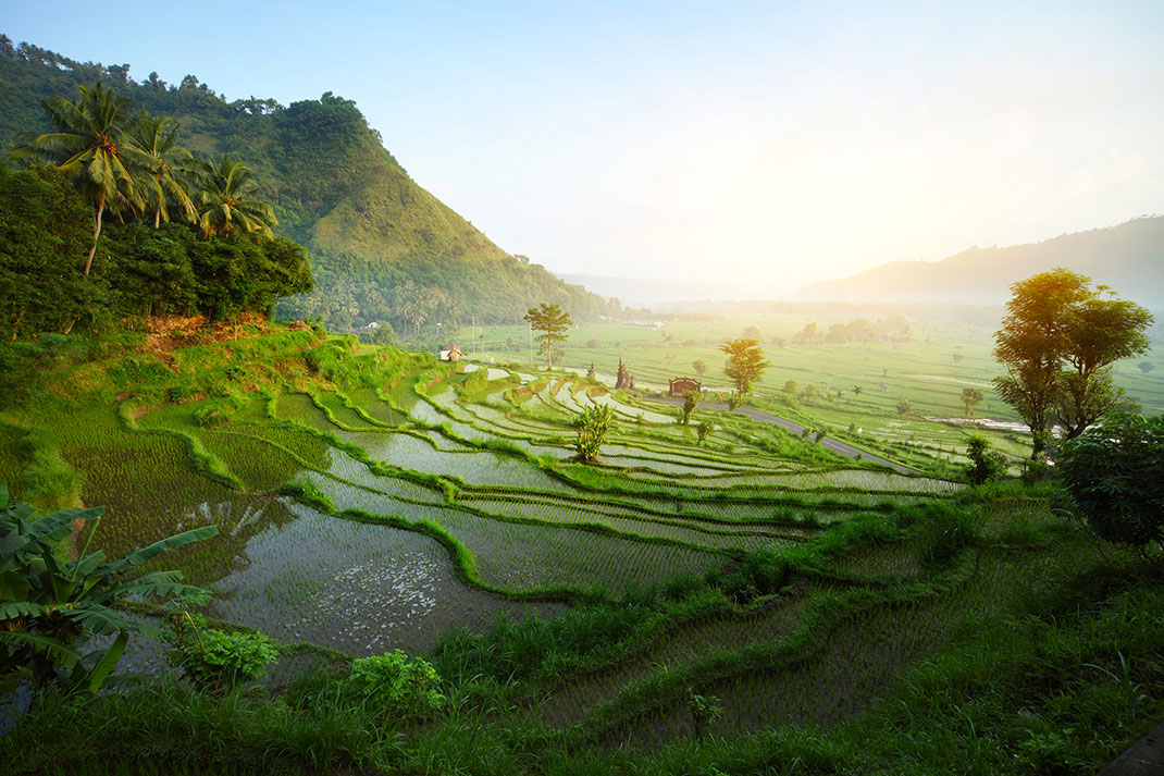 Bali-Lune-de-miel