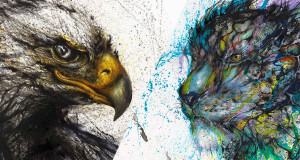 Une-animaux-splash
