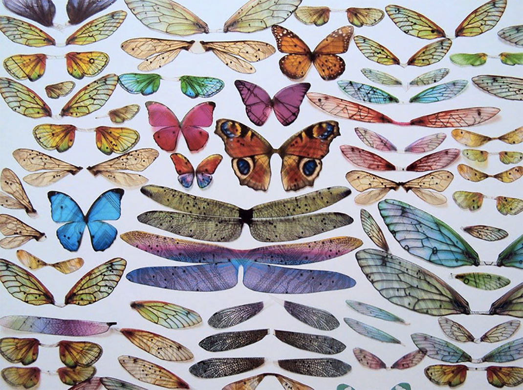 ailes-papillons-julie-alice-chappell