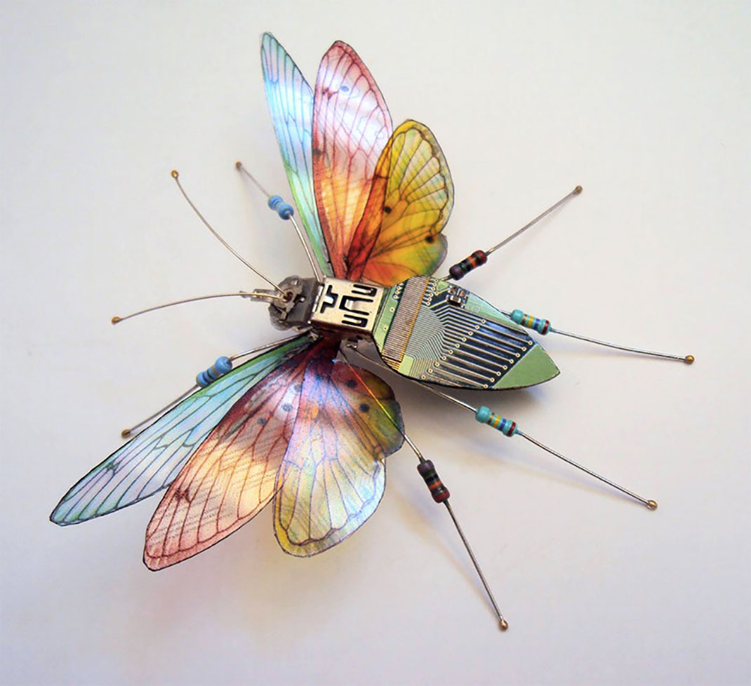 papillon-tricolore-composants-electroniques-julie-alice-chappell