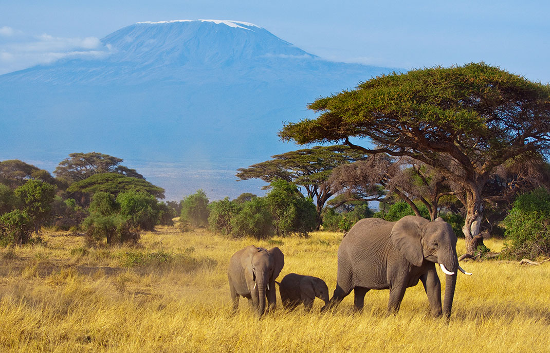 lune-de-miel--kenya