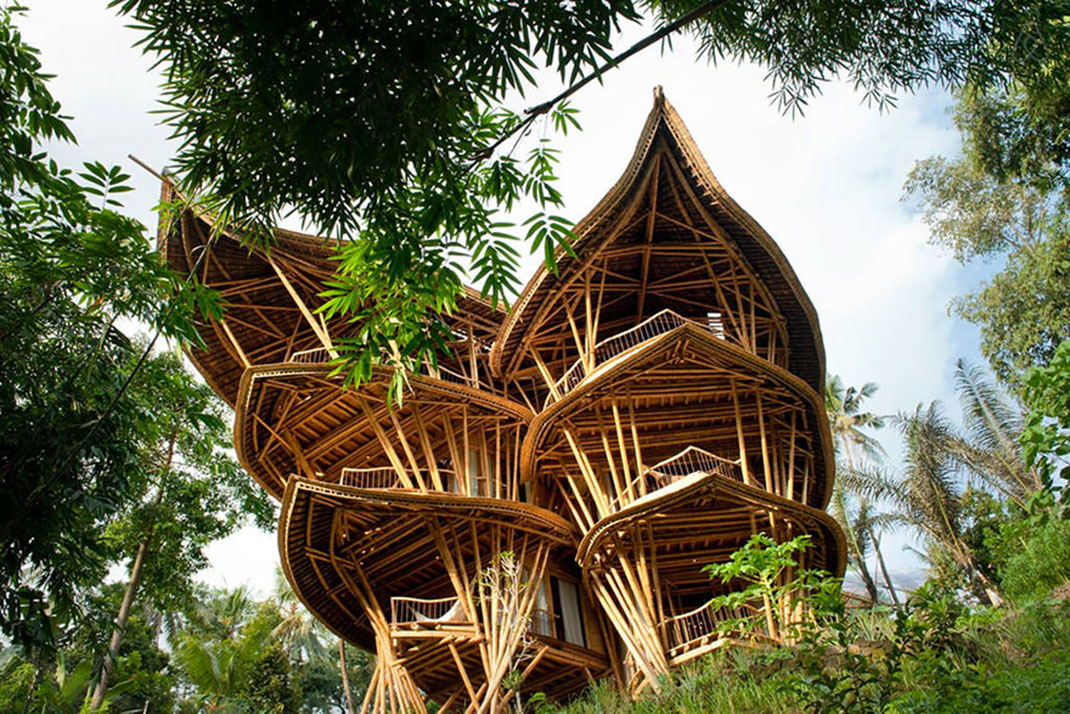 maison-bambou-1