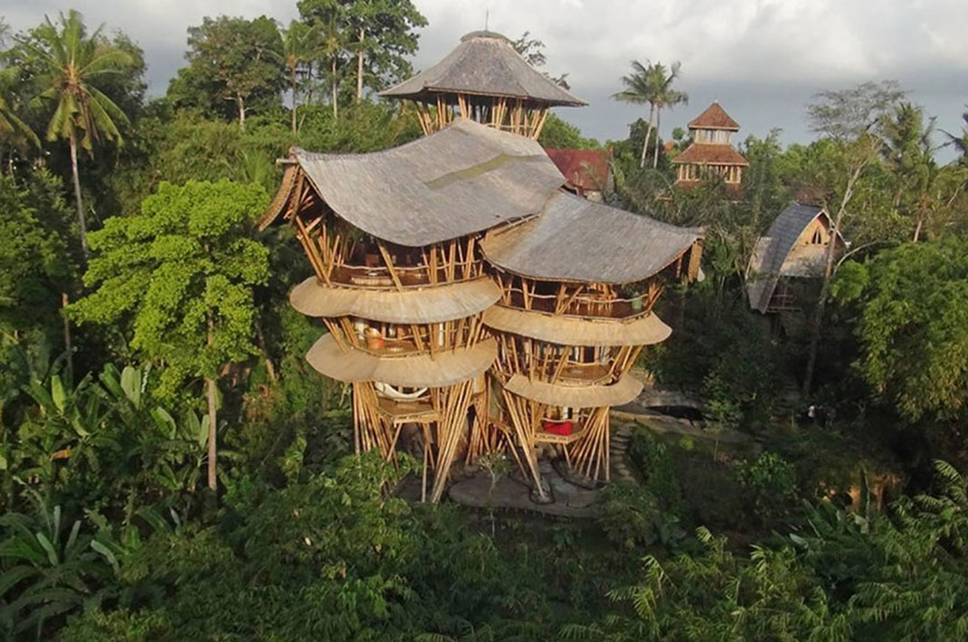 maison-bambou-10