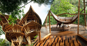 maison-bambou