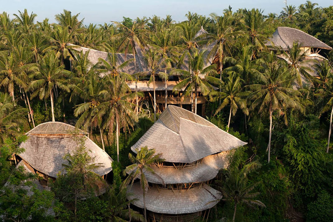 maison-bambou-4