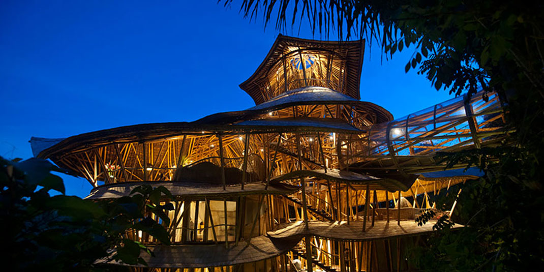 maison-bambou-9