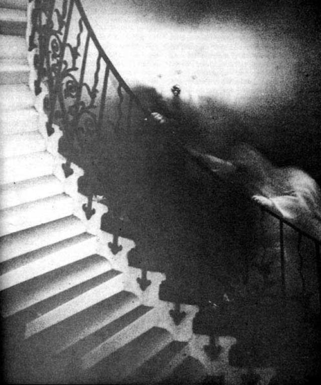 tulip-staircase-photo