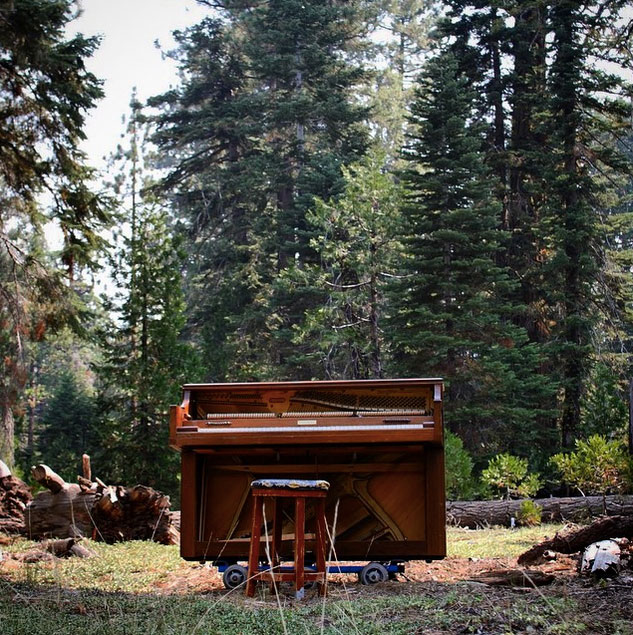 voyage-piano-foret