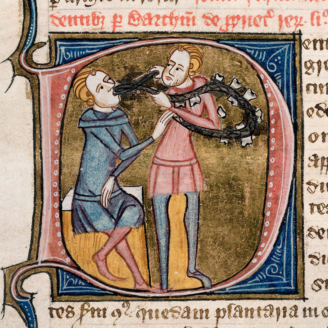 08-dentiste-wiki