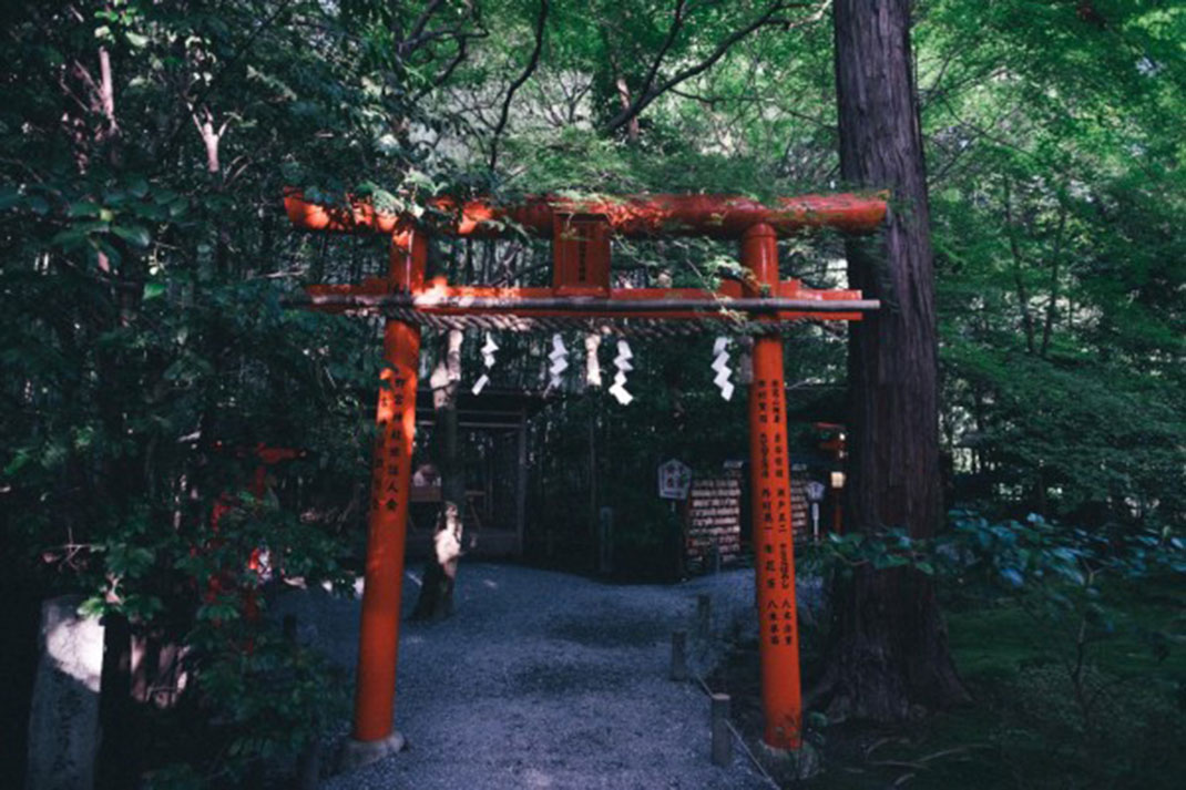 09-porterouge-takashiyasui