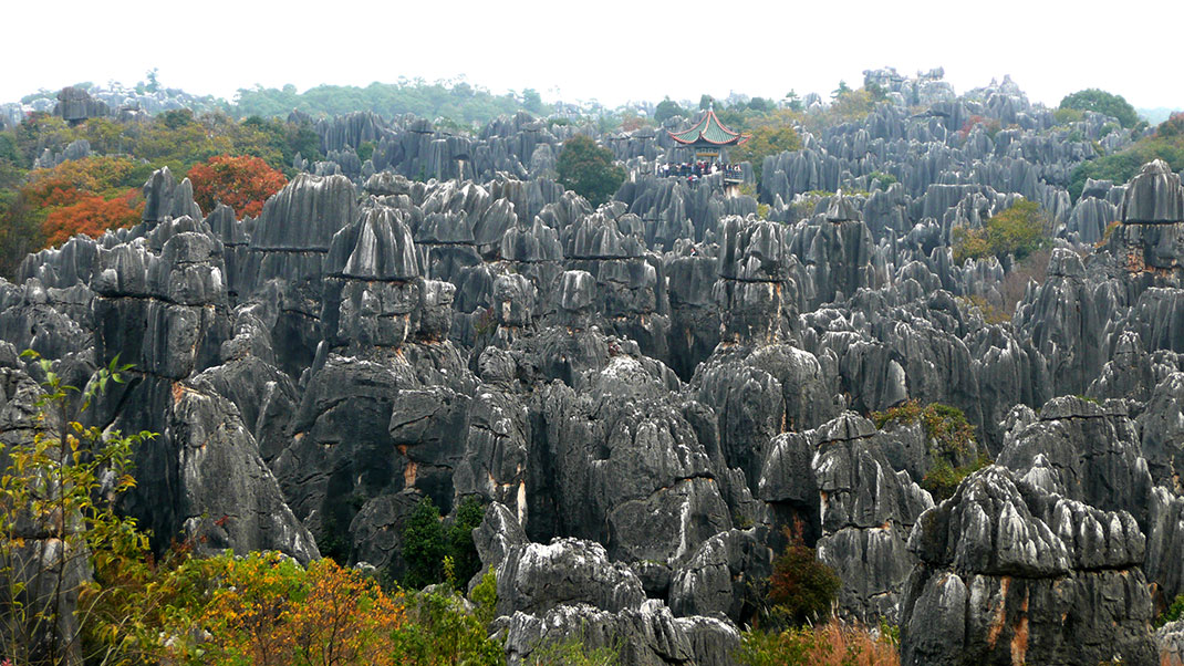 1-forêt-shilin